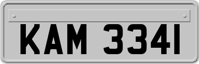 KAM3341