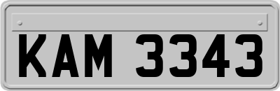 KAM3343