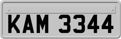 KAM3344