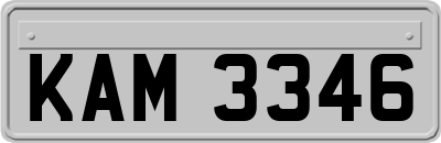 KAM3346