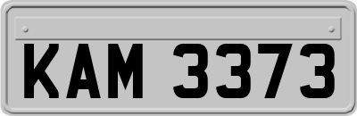 KAM3373