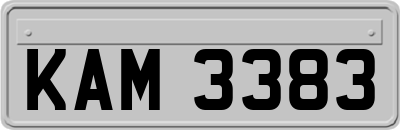 KAM3383