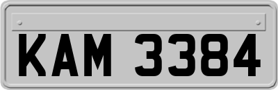 KAM3384