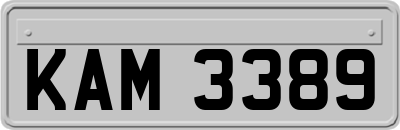 KAM3389