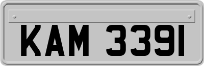 KAM3391
