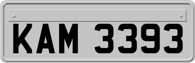 KAM3393