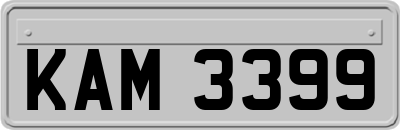 KAM3399