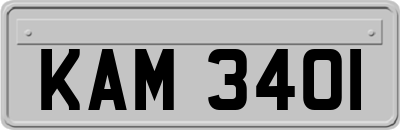 KAM3401