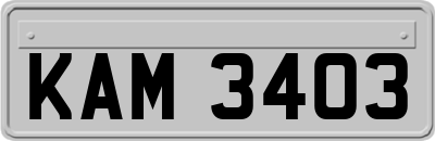 KAM3403