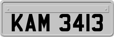 KAM3413