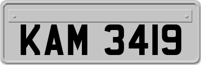 KAM3419