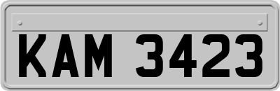 KAM3423