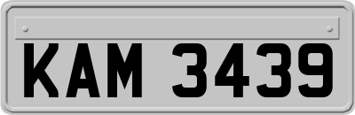 KAM3439