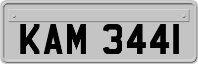 KAM3441