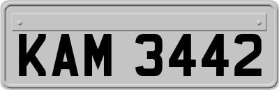 KAM3442