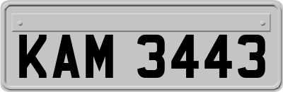 KAM3443