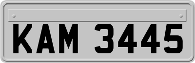 KAM3445