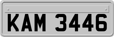 KAM3446