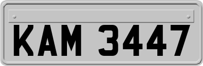 KAM3447