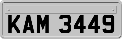 KAM3449