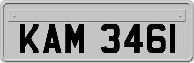 KAM3461