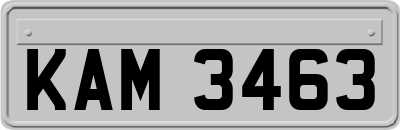 KAM3463