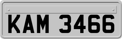 KAM3466
