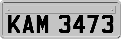 KAM3473