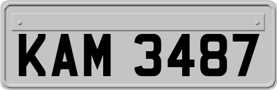 KAM3487