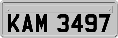KAM3497