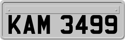 KAM3499