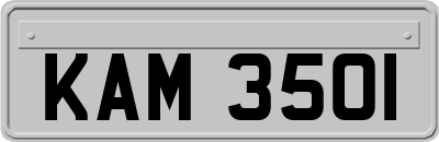 KAM3501