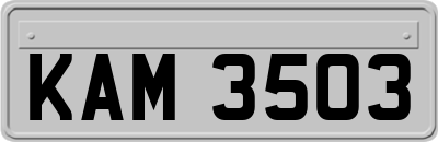 KAM3503