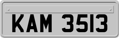 KAM3513