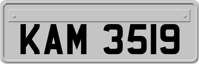 KAM3519