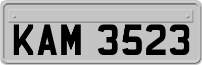 KAM3523