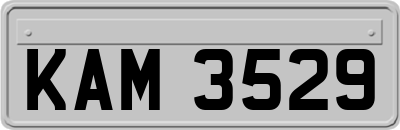 KAM3529