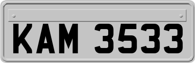 KAM3533