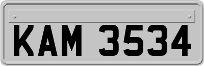 KAM3534