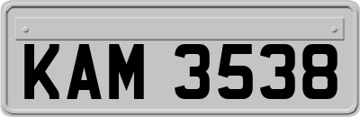 KAM3538