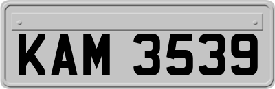KAM3539