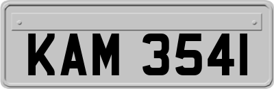 KAM3541