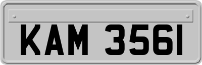 KAM3561