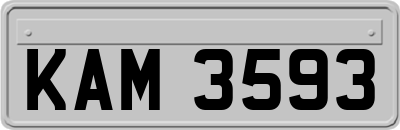 KAM3593