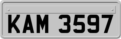 KAM3597