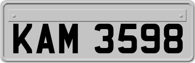 KAM3598