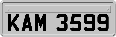 KAM3599