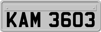 KAM3603
