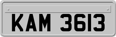 KAM3613