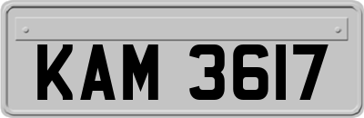 KAM3617
